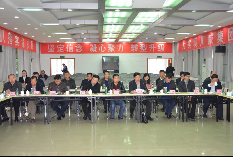 省化解钢铁过剩产能复查工作组莅临汇赢复查调研(图1)