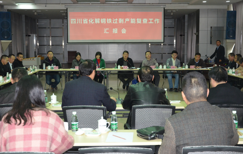 省化解钢铁过剩产能复查工作组莅临汇赢复查调研(图2)