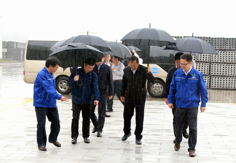 内江市委书记马波调研汇赢指出：坚决支持汇赢(图1)