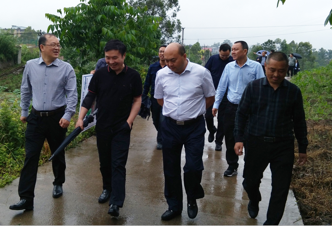 汇赢国际董事长王劲一行考察仁寿县(图1)