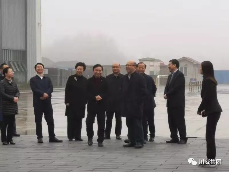 四川省省委常委、组织部长王正谱一行考察调研汇赢装配建筑(图1)