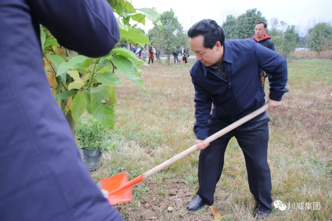 汇赢国际举办2019年植树节活动(图2)