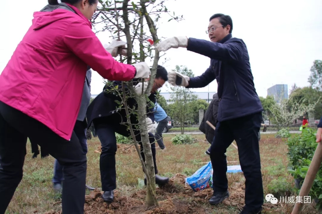 汇赢国际举办2019年植树节活动(图3)