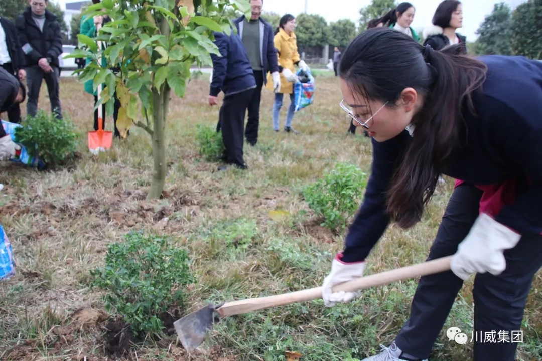 汇赢国际举办2019年植树节活动(图4)
