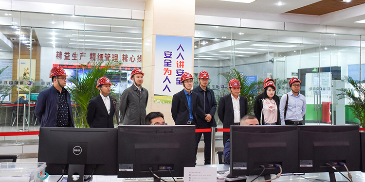 大西洋集团总工程师蒋勇一行莅临汇赢国际钒钛科技考察调研(图1)