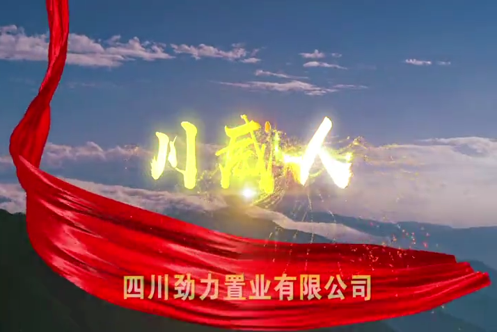 汇赢国际