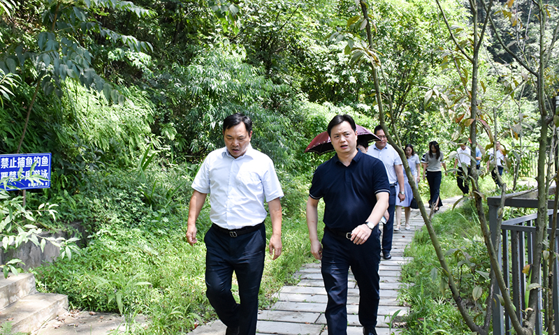 省总工会宣教部部长陈君一行到汇赢国际连界基地调研(图1)