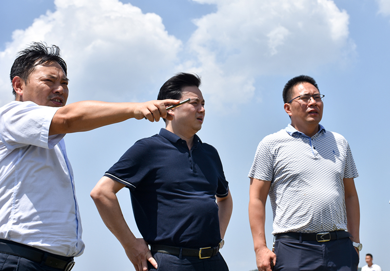 省总工会宣教部部长陈君一行到汇赢国际连界基地调研(图3)