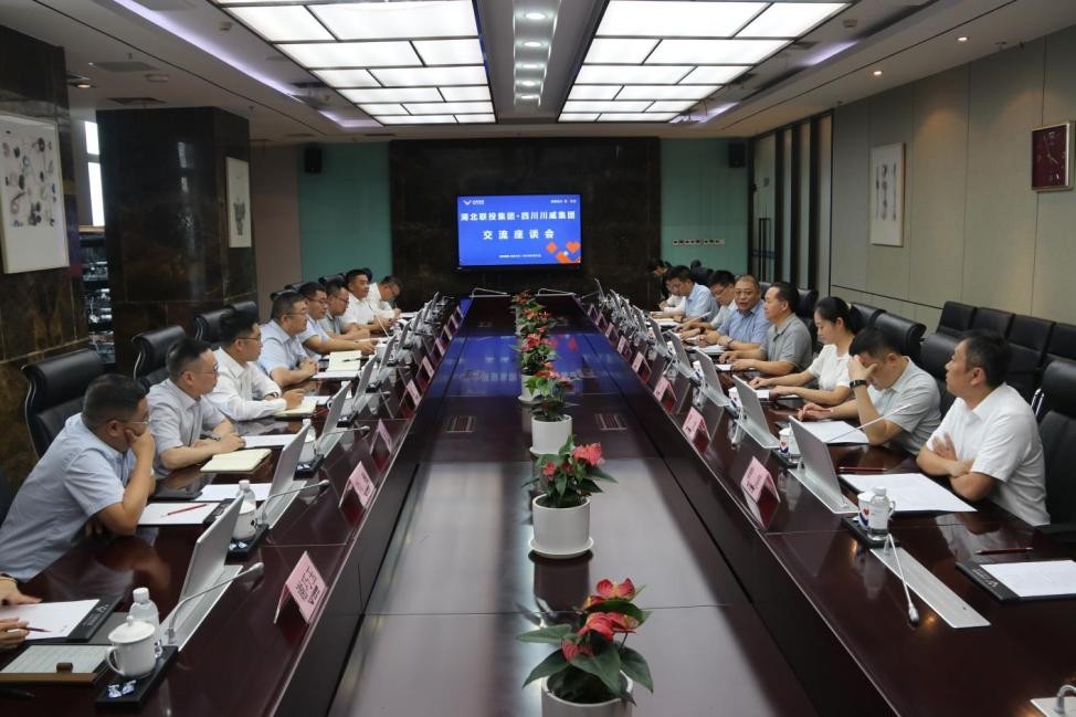 湖北联投集团到访汇赢国际并举行座谈交流