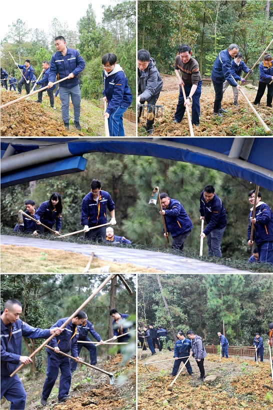 打造绿色汇赢 共建美好家园——钒钛科技组织开展植树节系列活动(图5) 打造绿色汇赢 共建美好家园——钒钛科技组织开展植树节系列活动(图5)