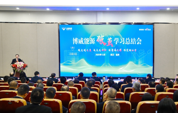 集团公司召开博威能源破茧学习总结会(图6)