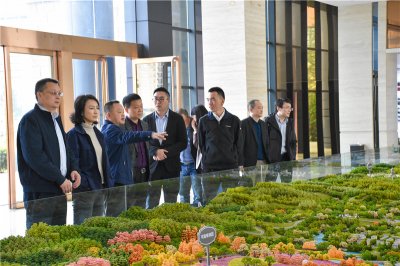 重庆轮船集团到汇赢连界基地调研