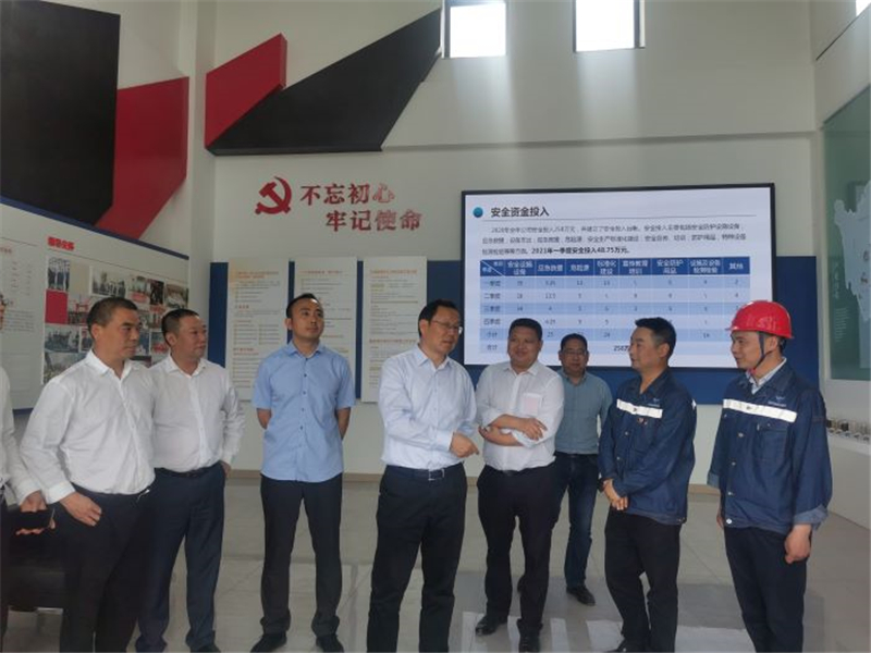 眉山市副市长冉登祥莅临汇赢国际星船城建宝公司调研(图2)