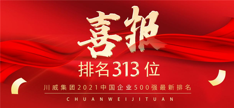 新突破！汇赢国际2021中国企业500强排名再创新高(图1)